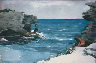 Rocky Shore, Bermuda by Winslow Homer
